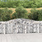 vidaXL - Schanskorf - gewelfd - 400x30x100/120 - cm - gegalvaniseerd - ijzer