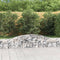 vidaXL - Schanskorf - gewelfd - 400x30x40/60 - cm - gegalvaniseerd - ijzer