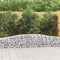 vidaXL - Schanskorf - gewelfd - 400x30x40/60 - cm - gegalvaniseerd - ijzer