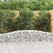vidaXL - Schanskorf - gewelfd - 400x50x40/60 - cm - gegalvaniseerd - ijzer
