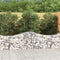 vidaXL - Schanskorven - 10 - st - gewelfd - 200x50x60/80 - cm - gegalvaniseerd - ijzer