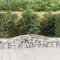 vidaXL - Schanskorven - 10 - st - gewelfd - 400x30x40/60 - cm - ijzer