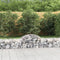 vidaXL - Schanskorven - 11 - st - gewelfd - 200x50x40/60 - cm - gegalvaniseerd - ijzer