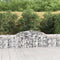vidaXL - Schanskorven - 11 - st - gewelfd - 300x30x60/80 - cm - gegalvaniseerd - ijzer