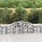 vidaXL - Schanskorven - 11 - st - gewelfd - 300x50x60/80 - cm - gegalvaniseerd - ijzer