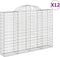 vidaXL - Schanskorven - 12 - st - gewelfd - 200x30x140/160 - cm - ijzer