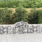 vidaXL - Schanskorven - 13 - st - gewelfd - 200x50x60/80 - cm - gegalvaniseerd - ijzer