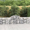 vidaXL - Schanskorven - 15 - st - gewelfd - 200x50x60/80 - cm - gegalvaniseerd - ijzer