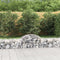 vidaXL - Schanskorven - 18 - st - gewelfd - 200x50x40/60 - cm - gegalvaniseerd - ijzer