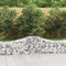 vidaXL - Schanskorven - 18 - st - gewelfd - 200x50x40/60 - cm - gegalvaniseerd - ijzer