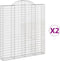vidaXL - Schanskorven - 2 - st - gewelfd - 200x30x220/240 - cm - ijzer