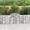 vidaXL - Schanskorven - 2 - st - gewelfd - 200x30x80/100 - cm - gegalvaniseerd - ijzer