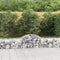 vidaXL - Schanskorven - 2 - st - gewelfd - 200x50x40/60 - cm - gegalvaniseerd - ijzer