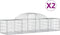 vidaXL - Schanskorven - 2 - st - gewelfd - 200x50x40/60 - cm - gegalvaniseerd - ijzer