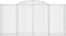 vidaXL - Schanskorven - 2 - st - gewelfd - 300x50x140/160 - cm - ijzer