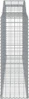 vidaXL - Schanskorven - 2 - st - gewelfd - 300x50x140/160 - cm - ijzer