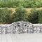 vidaXL - Schanskorven - 2 - st - gewelfd - 300x50x60/80 - cm - gegalvaniseerd - ijzer