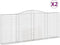 vidaXL - Schanskorven - 2 - st - gewelfd - 400x30x160/180 - cm - ijzer