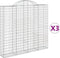 vidaXL - Schanskorven - 3 - st - gewelfd - 200x30x180/200 - cm - ijzer