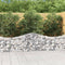 vidaXL - Schanskorven - 3 - st - gewelfd - 200x30x60/80 - cm - gegalvaniseerd - ijzer
