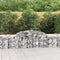 vidaXL - Schanskorven - 3 - st - gewelfd - 300x50x60/80 - cm - gegalvaniseerd - ijzer