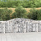 vidaXL - Schanskorven - 3 - st - gewelfd - 400x30x100/120 - cm - ijzer
