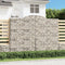 vidaXL - Schanskorven - 4 - st - gewelfd - 300x30x220/240 - cm - ijzer