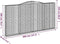 vidaXL - Schanskorven - 4 - st - gewelfd - 400x30x200/220 - cm - ijzer