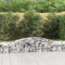 vidaXL - Schanskorven - 4 - st - gewelfd - 400x50x40/60 - cm - ijzer