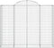 vidaXL - Schanskorven - 5 - st - gewelfd - 200x50x160/180 - cm - ijzer