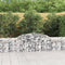 vidaXL - Schanskorven - 5 - st - gewelfd - 300x30x60/80 - cm - gegalvaniseerd - ijzer