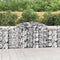 vidaXL - Schanskorven - 5 - st - gewelfd - 300x50x100/120 - cm - ijzer