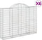 vidaXL - Schanskorven - 6 - st - gewelfd - 200x30x140/160 - cm - ijzer