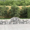 vidaXL - Schanskorven - 6 - st - gewelfd - 200x50x40/60 - cmgegalvaniseerd - ijzer