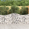 vidaXL - Schanskorven - 6 - st - gewelfd - 200x50x80/100 - cm - gegalvaniseerd - ijzer