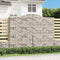 vidaXL - Schanskorven - 6 - st - gewelfd - 300x30x220/240 - cm - ijzer