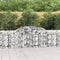 vidaXL - Schanskorven - 6 - st - gewelfd - 300x30x80/100 - cm - gegalvaniseerd - ijzer