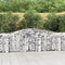 vidaXL - Schanskorven - 6 - st - gewelfd - 400x30x80/100 - cm - ijzer