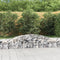 vidaXL - Schanskorven - 6 - st - gewelfd - 400x50x40/60 - cm - ijzer
