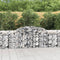 vidaXL - Schanskorven - 7 - st - gewelfd - 300x50x80/100 - cm - gegalvaniseerd - ijzer