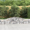 vidaXL - Schanskorven - 7 - st - gewelfd - 400x30x40/60 - cm - ijzer