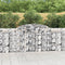 vidaXL - Schanskorven - 8 - st - gewelfd - 300x30x100/120 - cm - ijzer
