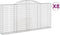 vidaXL - Schanskorven - 8 - st - gewelfd - 300x30x140/160 - cm - ijzer