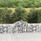 vidaXL - Schanskorven - 9 - st - gewelfd - 200x50x60/80 - cm - gegalvaniseerd - ijzer