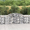 vidaXL - Schanskorven - 9 - st - gewelfd - 300x50x80/100 - cm - gegalvaniseerd - ijzer