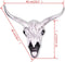 vidaXL - Schedel - muurdecoratie - aluminium - zilver