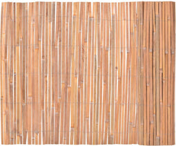 vidaXL - Scherm - 100x600 - cm - bamboe