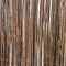 vidaXL - Scherm - 5x1 - m - wilgenhout