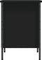 vidaXL - Schoenenkast - 38x35x50 - cm - bewerkt - hout - zwart