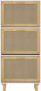 vidaXL - Schoenenkast - 52x25x115 - cm - bewerkt - hout - en - rattan - zwart